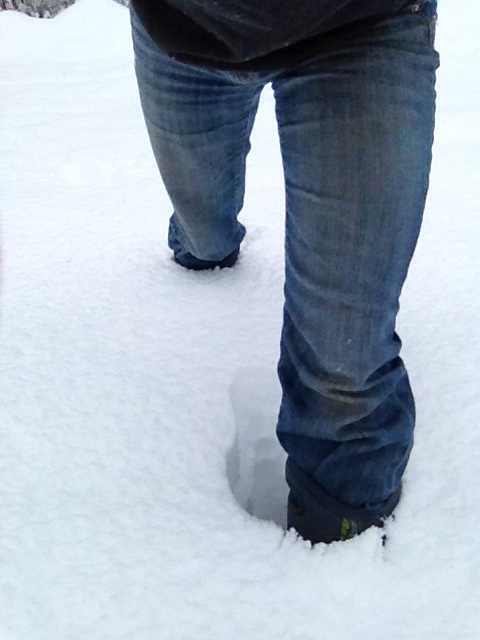 After sinking deeper than my calf-high Bogs, I realised snowshoes were really in order.